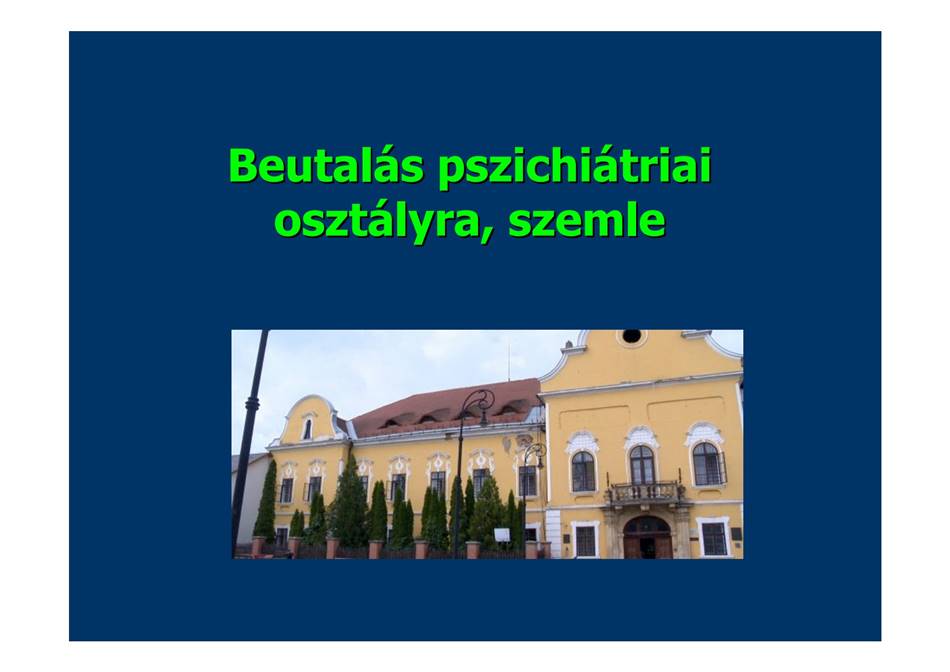Szakmai-konzultacio_2019.08.07._Pszichiatria_jogi_szabalyozasajpg103