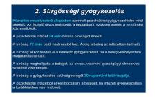 images/Szakmai_konzultacio/Szakmai-konzultacio_2019.08.07._Pszichiátria_jogi_szabalyozasa/Szakmai-konzultacio_2019.08.07._Pszichiatria_jogi_szabalyozasajpg113.jpg